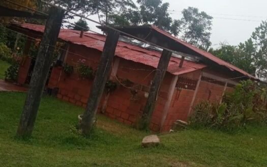 SE VENDE FINCA UBICADA EN CERRO DE LA AURORA, LEBRIJA